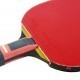 Butterfly Zhang Jike ZJX6