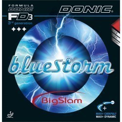 Donic Bluestorm Big Slam